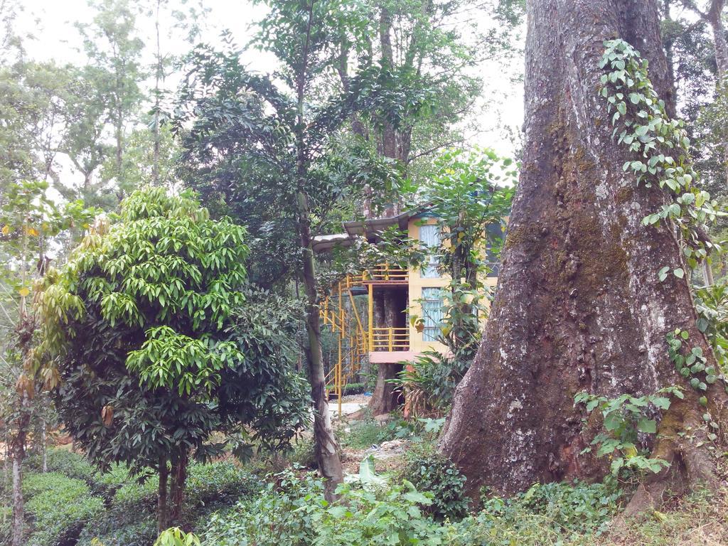 Bed and Breakfast Jungle Jive Tree House Муннар Номер фото