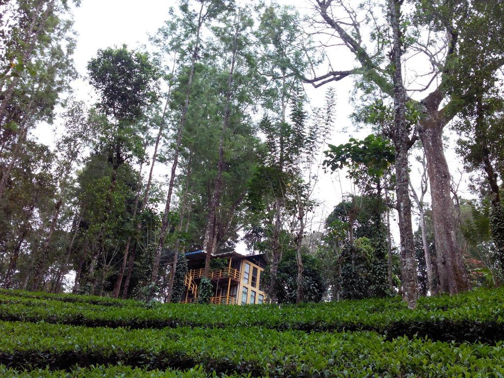 Bed and Breakfast Jungle Jive Tree House Муннар Экстерьер фото