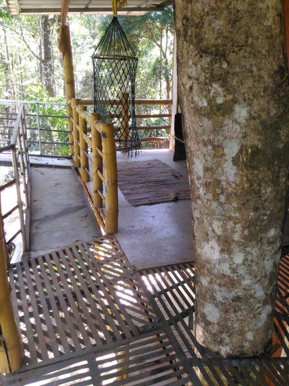 Bed and Breakfast Jungle Jive Tree House Муннар Экстерьер фото