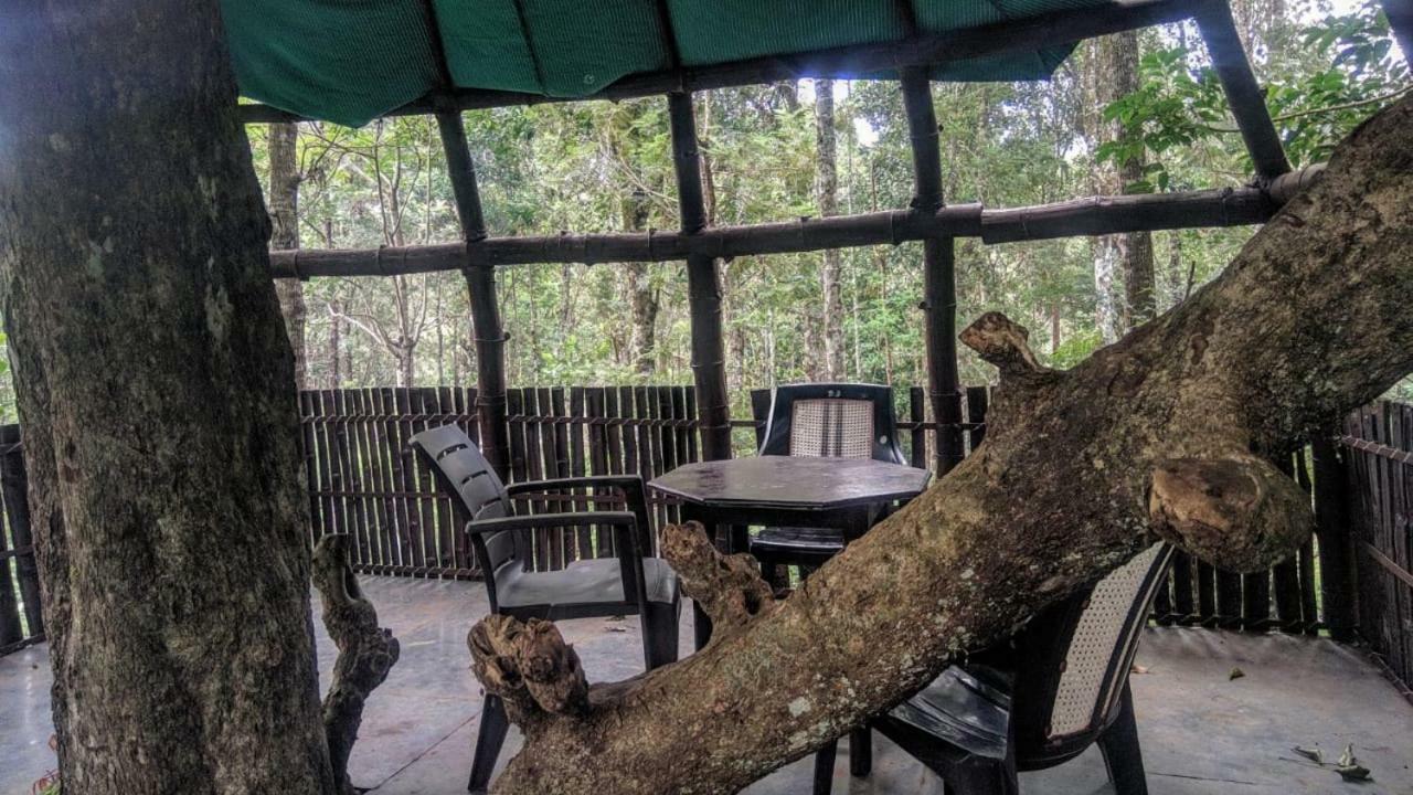Bed and Breakfast Jungle Jive Tree House Муннар Экстерьер фото
