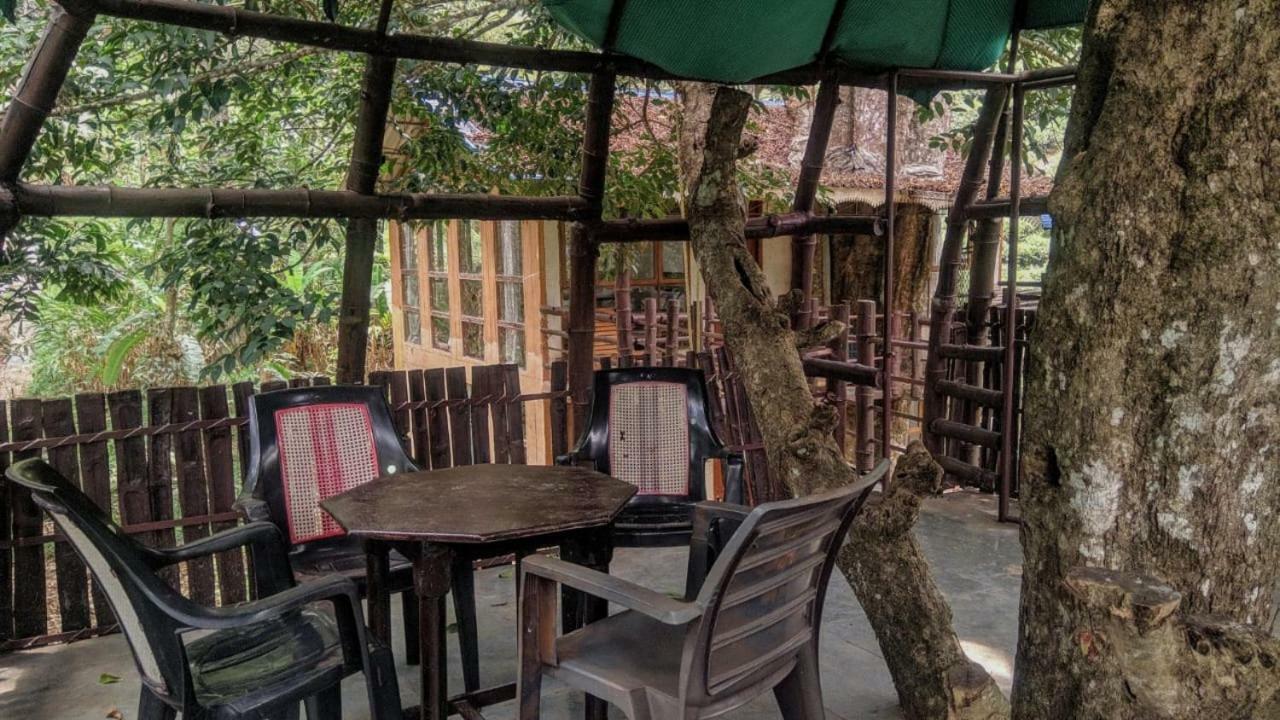Bed and Breakfast Jungle Jive Tree House Муннар Экстерьер фото