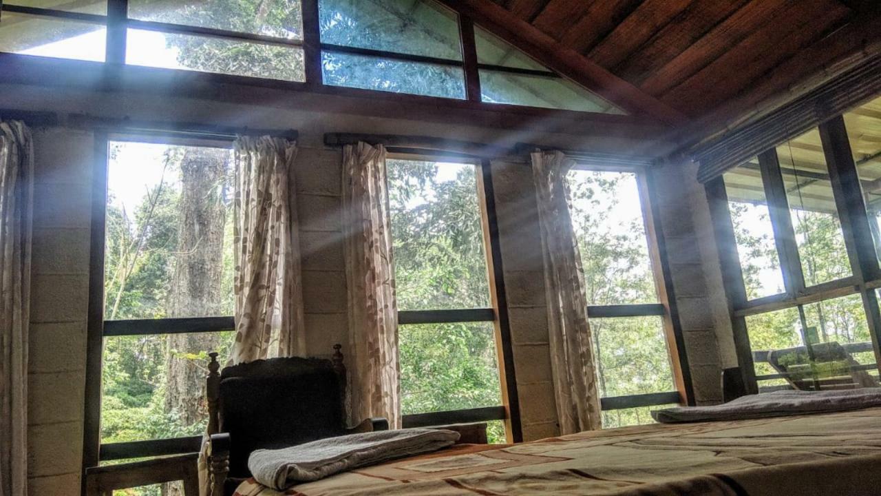 Bed and Breakfast Jungle Jive Tree House Муннар Экстерьер фото