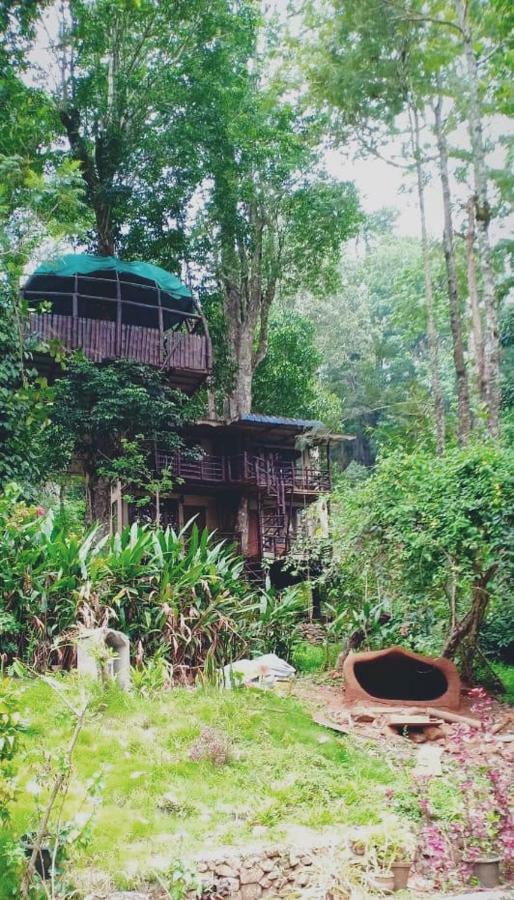 Bed and Breakfast Jungle Jive Tree House Муннар Экстерьер фото